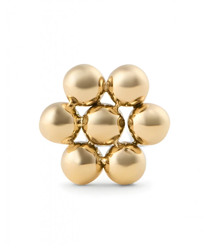 Kolczyk Daniel Wellington Flower Stud Gold DW00400863
