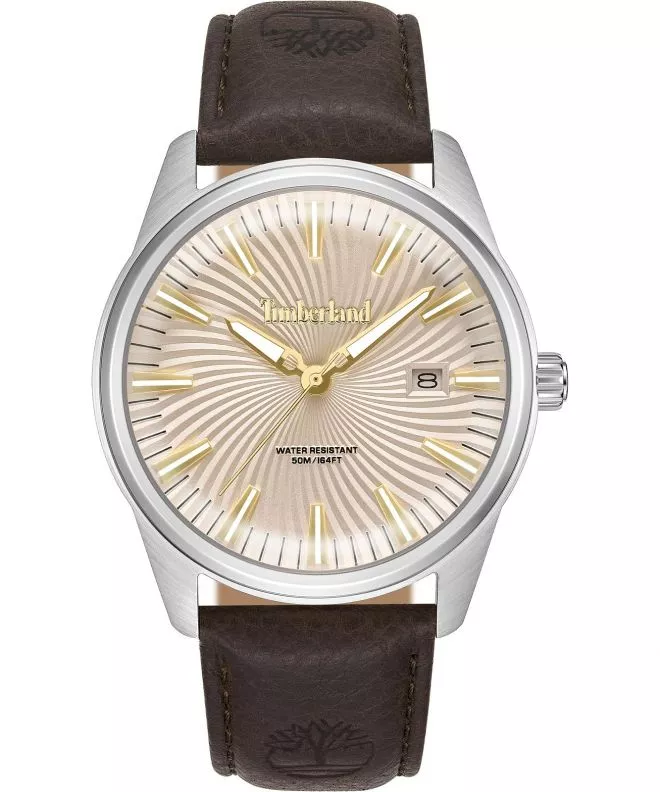 Zegarek męski Timberland Birch Road TDWGB0083102