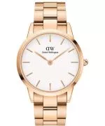 Zegarek damski Daniel Wellington Iconic Link 40