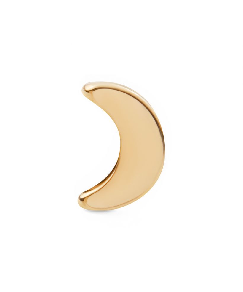 Kolczyk Daniel Wellington Moon Stud Gold