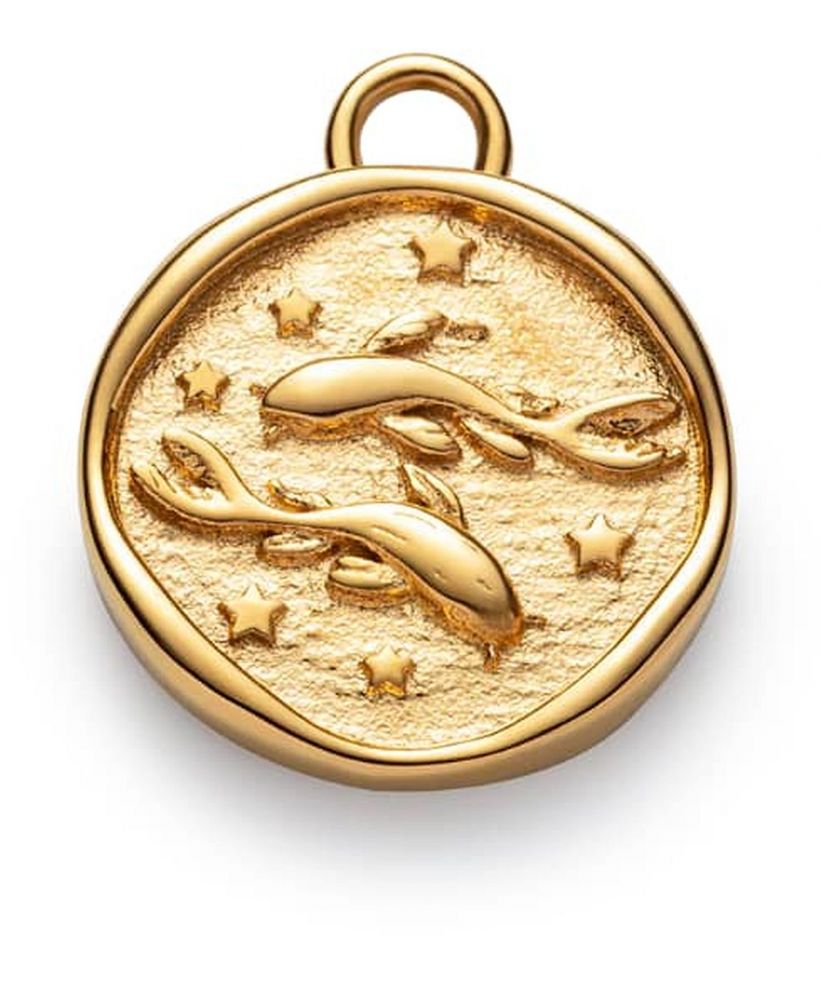 Zawieszka Paul Hewitt Pisces